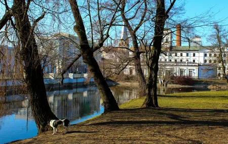 City Łódź