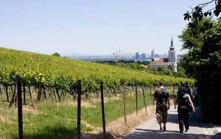 Private Day Trip to The Village of Grinzing from Vienna with a local