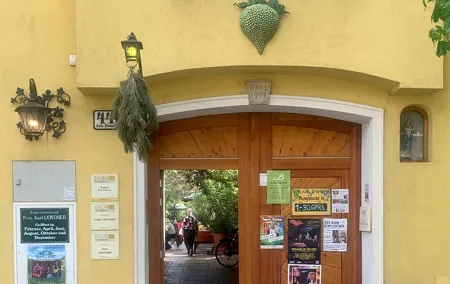 Private Tour to Vienna’s Best Wineries