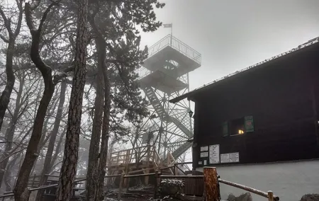 3-Hour Private Hiking Tour over Parapluie Mountain with a View of Vienna