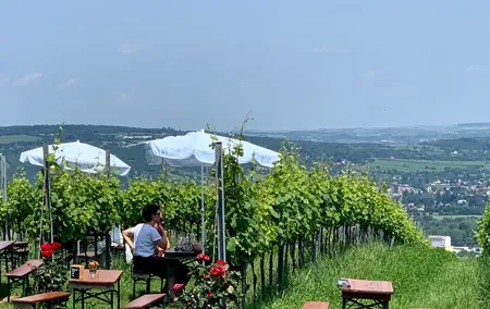Private Viennese Nußberg Walking Tour with Wine Tasting