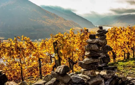 Wachau with a difference
