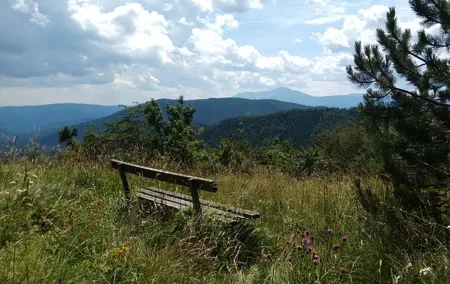 4-Hour Private Alpine Hiking Tour 'Enzian'