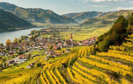 Full-Day Private Wachau Valley Wine Tour Experience from Vienna