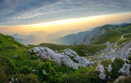 Day Trip from Vienna to Alpine Peaks & Lakeside Wine with Lunch