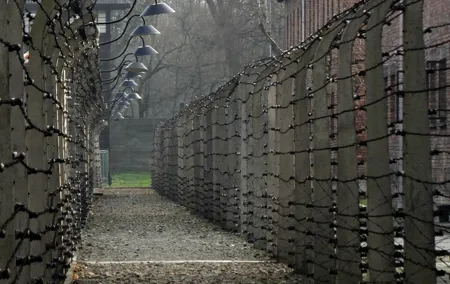 Auschwitz & Birkenau: Live-Guided Tour with Transportation and Hotel Pickup