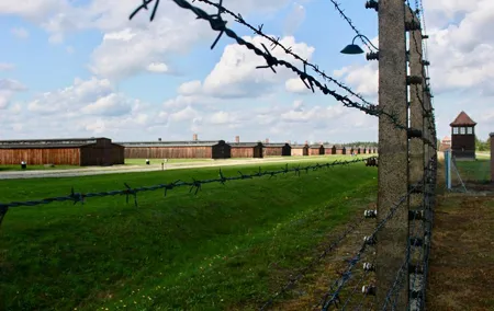 Auschwitz-Birkenau Tour: Tickets + Transportation from Krakow