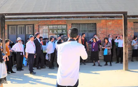 Auschwitz Birkenau: Live-Guided Tour with Transportation and Hotel Pickup