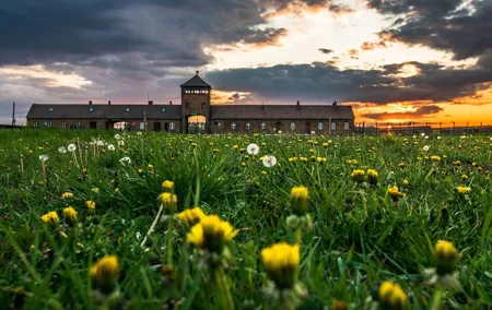 Guided Tour Krakow to Auschwitz-Birkenau with pickup options