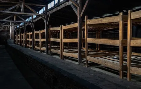 Auschwitz and Birkenau Tour