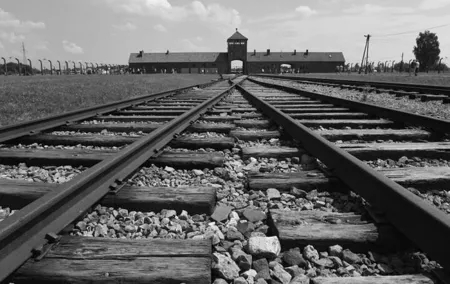 Auschwitz-Birkenau Guided Tour From Krakow