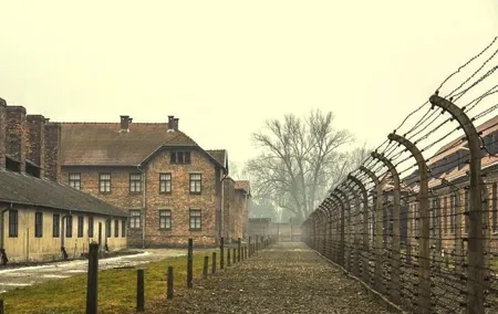 Krakow: Auschwitz-Birkenau Guided Tour & Hotel Pick Up