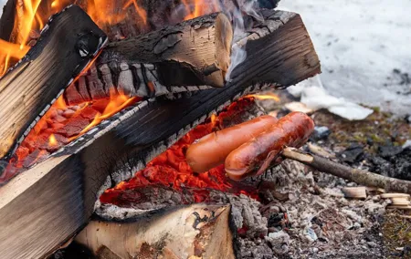 Horse Sleigh Ride & Bonfire - Private Tour from Zakopane