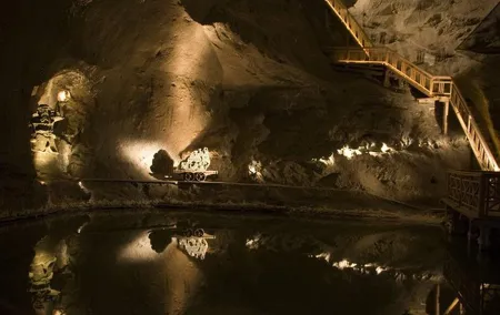 From Krakow: Auschwitz-Birkenau and Salt Mine with Private Transfer