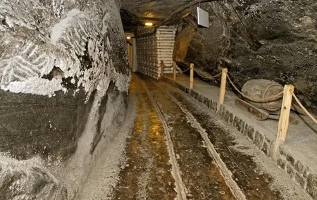 Auschwitz & Wieliczka ONE DAY Guided Tour +Private Transportation