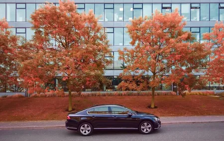 PRAGUE to BERLIN - stop in DRESDEN by LIMOUSINE 3+1pax