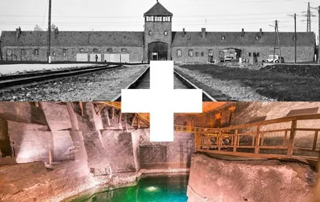 From Krakow: Auschwitz & Wieliczka Salt Mine Guided Tour