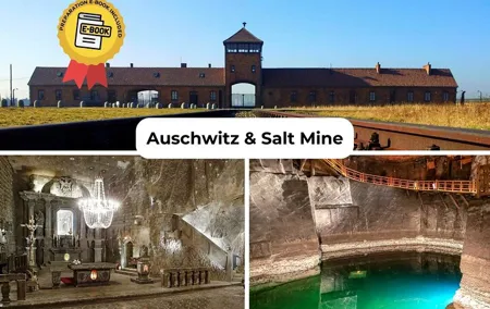 Krakow to Auschwitz Birkenau and Salt Mine 1 Day Tour