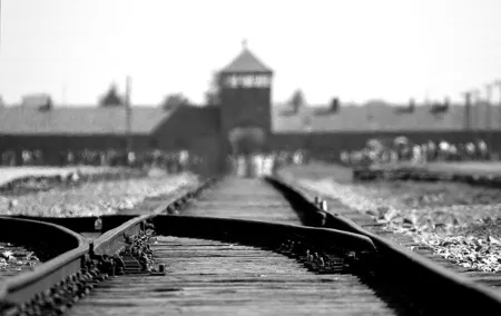 From Krakow: Private Transfer to Auschwitz-Birkenau