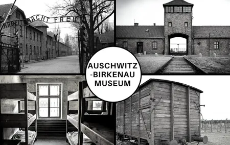 Krakow: Auschwitz-Birkenau Private Transfer or Full Shared Tour
