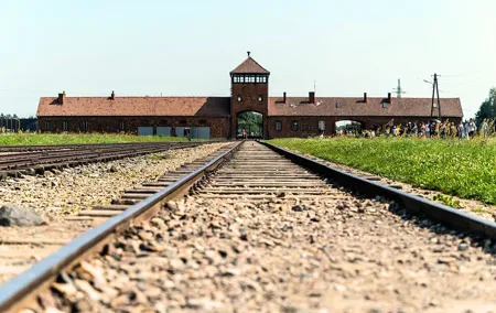 Krakow Auschwitz-Birkenau Guided Tour with Transfer