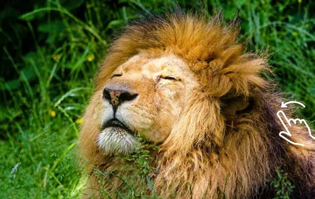 Krakow: Zoo with Hotel Transfer