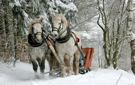 Zakopane & Sleigh Ride with Bonfire - Private Day Trip from Krakow