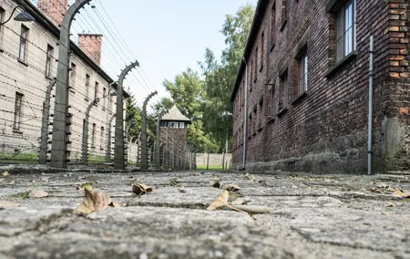 Combined: Auschwitz Birkenau and Salt Mine private chauffeur from Krakow