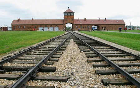 Auschwitz-Birkenau and Wieliczka Salt Mine Day Tour from Krakow with private car