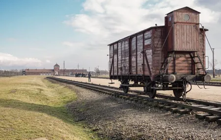 Auschwitz - Birkenau Private, 6-hr Study Tour