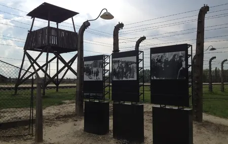 Krakow: Auschwitz-Birkenau & Salt Mine -private/shared transport