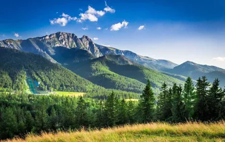 Zakopane Private Tour From Krakow