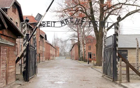 From Krakow: Auschwitz-Birkenau Memorial and Museum Guided Tour
