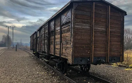 Auschwitz - Birkenau Tour with Private Transport from Krakow