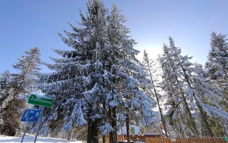 From Krakow: Zakopane & Chocholowskie Thermal Baths