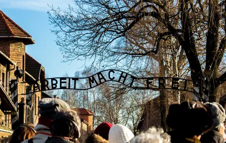 Auschwitz-Birkenau Memorial and Museum with Private Transfers from Krakow