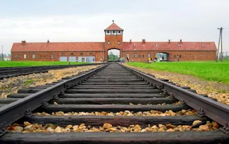 Auschwitz Trip From Krakow - English Speaking Guided Tour