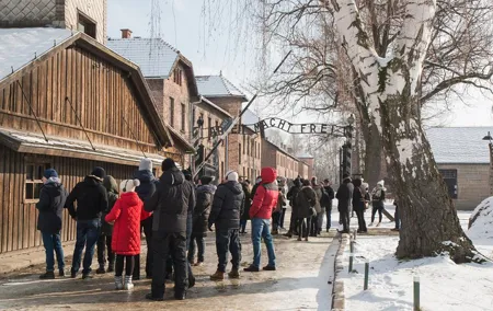 Auschwitz-Birkenau Guided Tour From Krakow including Lunch