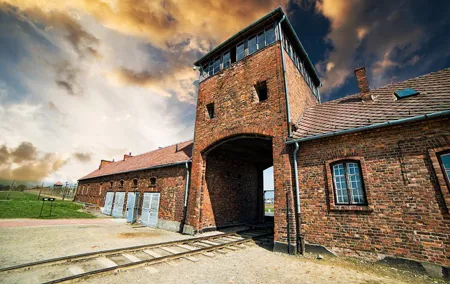 Auschwitz-Birkenau and Salt Mine with private transportation