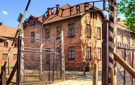 From Krakow: Live Guided Tour Auschwitz-Birkenau