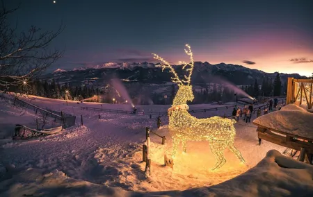 Zakopane & Thermal Hot Springs with Private Vehicle