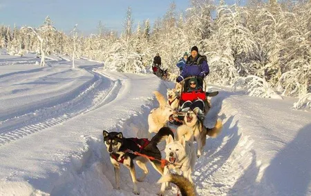 Husky Ride Private Tour from Krakow