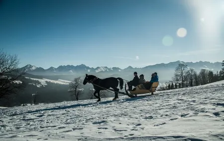 Zakopane and Horse Sleigh Ride in the countryside, private tour from Krakow