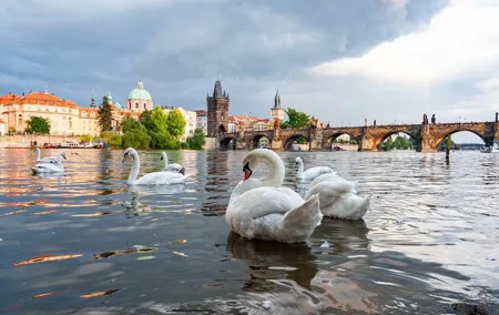 One-way Private Transfer From/To Prague Airport
