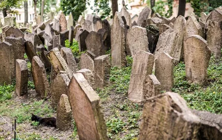 Prague Jewish Quarter Walking Tour with Admission Tickets