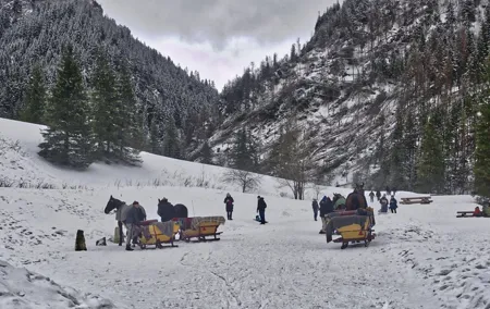 Horse Sleigh Ride in the Polish Countryside, private tour from Krakow
