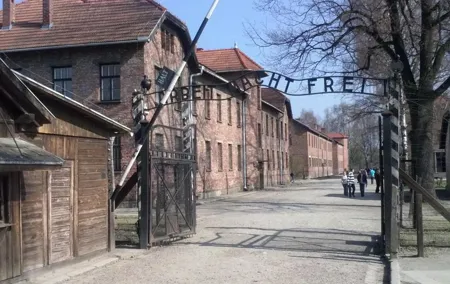 Auschwitz - Birkenau And Wieliczka Salt Mine Guided Tour With Private Transport