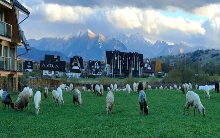 Zakopane and Thermal Pools Tour with Hotel Pickup