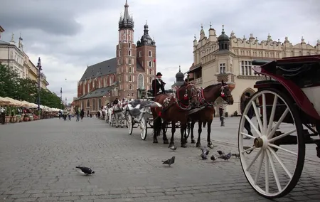 Krakow Private Tour By Walk & Car