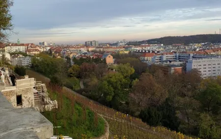 Non-touristy Prague - Cozy Neighborhoods - Private Tour
